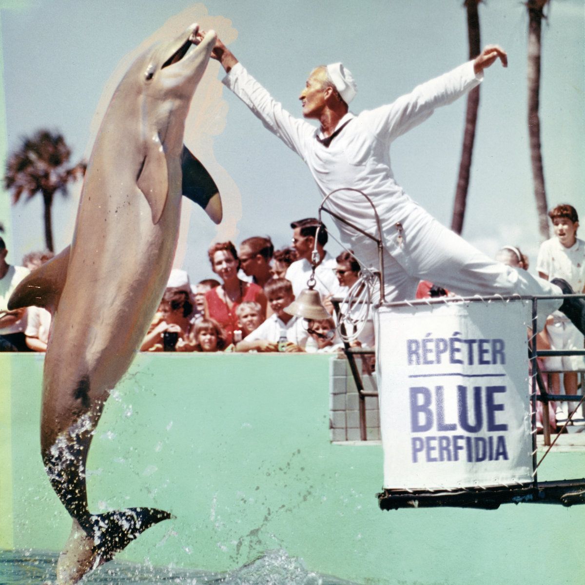 A vintage photograph captures a lively moment during a dolphin show. In the center, a dolphin leaps out of a turquoise pool, its nose touching a hoop held by a trainer dressed in a white naval uniform. The trainer stands on a platform with a sign reading "RÉPÉTER BLUE PERFIDIA" in bold blue and black letters. In the background, a crowd of spectators watches attentively, with palm trees visible under a clear sky, adding to the tropical atmosphere.