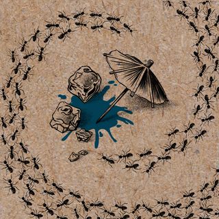 A detailed illustration on a textured, light brown background shows two large ice cubes, a small cocktail umbrella, and a blue liquid puddle—suggesting a spilled cocktail. The scene is framed by a continuous line of black ants, which form a death spiral around the central image, creating a sense of movement and trapping themselves in an endless loop. The overall style is monochromatic, with the blue liquid providing the only splash of color.