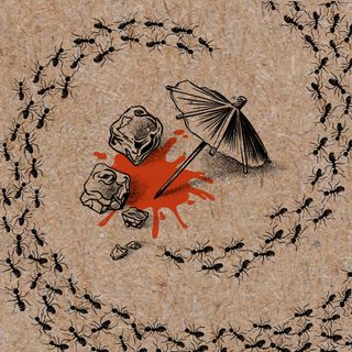 A detailed illustration on a textured, light brown background shows two large ice cubes, a small cocktail umbrella, and a red liquid puddle—suggesting a spilled cocktail. The scene is framed by a continuous line of black ants, which form a death spiral around the central image, creating a sense of movement and trapping themselves in an endless loop. The overall style is monochromatic, with the blue liquid providing the only splash of color.