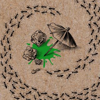 A detailed illustration on a textured, light brown background shows two large ice cubes, a small cocktail umbrella, and a green liquid puddle—suggesting a spilled cocktail. The scene is framed by a continuous line of black ants, which form a death spiral around the central image, creating a sense of movement and trapping themselves in an endless loop. The overall style is monochromatic, with the blue liquid providing the only splash of color.